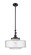 Bridgeton - 1 Light - 16 inch - Matte Black - Stem Hung - Mini Pendant (3442|206-BK-G694-16)