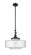 Bridgeton - 1 Light - 16 inch - Matte Black - Stem Hung - Adjustable Mini Pendant (3442|206-BK-G694-16-LED)
