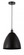 Bristol - 1 Light - 12 inch - Matte Black - Cord hung - Mini Pendant (3442|616-1P-BK-MBD-12-BK)