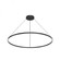Cerchio 60-in Black LED Pendant (461|PD87160-BK)