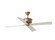 Subway 56'' Indoor/Outdoor Antique Brass Ceiling Fan with Handheld Remote Control (6|4SBWR56HAB)