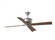 Subway 56'' Indoor/Outdoor Polished Nickel Ceiling Fan with Handheld Remote Control (6|4SBWR56PN)
