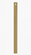 36'' Downrod in Burnished Brass (6|DR36BBS)