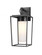 1 Light Outdoor Wall Light (276|595M-BK)