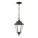 Bakersville traditional 1-light outdoor exterior pendant in antique bronze finish with satin etched (38|60941-71)