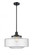 Bridgeton - 1 Light - 12 inch - Matte Black - Stem Hung - Mini Pendant (3442|201S-BK-G694-16-LED)
