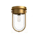 Cyrus 8-in Aged Gold/Clear Glass 1 Light Flush Mount (7713|FM539008AGCL)