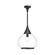 Hazel 14-in Clear Glass/Matte Black 1 Light Pendant (7713|PD524214MBCL)