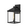 Larchmont 9-in Clear Glass/Textured Black 1 Light Outdoor Lantern Wall Sconce (7713|EW552009BKCL)