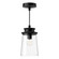 Quincy 6-in Clear Bubble Glass/Textured Black 1 Light Exterior Pendant (7713|EP533006BKCB)