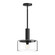 Royale 10-in Clear Glass/Matte Black 1 Light Socket Pendant (7713|PD535010MBCL)