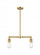 Bare Bulb - 2 Light - 20 inch - Satin Gold - Stem Hung - Adjustable Island Light (3442|209-SG)