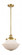 Oxford - 1 Light - 12 inch - Satin Gold - Stem Hung - Mini Pendant (3442|201S-SG-G541-LED)