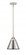 Appalachian - 1 Light - 8 inch - Polished Nickel - Stem hung - Mini Pendant (3442|288-1S-PN-M13-PN)