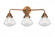 Olean - 3 Light - 25 inch - Antique Copper - Bath Vanity Light (3442|288-3W-AC-G324-LED)
