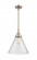 Cone - 1 Light - 12 inch - Brushed Satin Nickel - Mini Pendant (3442|447-1S-SN-G44-L)
