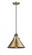 Briarcliff - 1 Light - 10 inch - Brushed Brass - Cord hung - Mini Pendant (3442|201CSW-BB-M10-BB-LED)