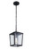 Olsen 1 Light Medium Outdoor Pendant in Midnight (20|ZA4611-MN)