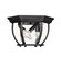 Outdoor: Flush Mount (8483|M50059BK)