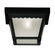 Outdoor: Flush Mount (8483|M50058BK)