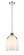 1 Light Pendant (276|818-9PN)