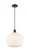 Cindyrella - 1 Light - 12 inch - Matte Black - Cord hung - Mini Pendant (3442|516-1P-BK-G651-12-LED)