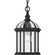 P550122-031 1 60W MED HANGING LANTERN (149|P550122-031)