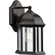 Dillard Collection One-Light Traditional Antique Bronze Clear Glass Outdoor Wall Lantern (149|P560321-020)