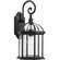 Dillard Collection One-Light Traditional Textured Black Clear Glass Outdoor Wall Lantern (149|P560323-031)