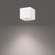 DOWNTOWN 5IN OUTDOOR FLUSH MT 4000K 3CCT (16|FM-W47206-40-WT)