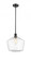 Cindyrella - 1 Light - 12 inch - Matte Black - Mini Pendant (3442|516-1S-BK-G654-12)