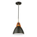 Tote 1 Light Pendant Black (12|SC13321BK)