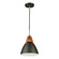 Tote 1 Light Pendant Black (12|SC13321BK)