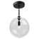 Pinpoint 1 Light Semi-Flush Mount Black (12|SC13190BK)