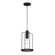 1 Light Pendant (21|D273M-8P-MB)