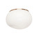 GELASIN Flush Mounts (3605|M14021AGOP)