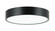 Plato Flush Mounts (3605|M13701BK)