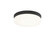 Circian Flush Mounts (3605|M10901MB)