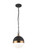 Torino Pendants (3605|C61801AGOP)