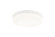 CIRCIAN Flush Mounts (3605|M10902MW)