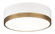 Trydor Flush Mounts (3605|M14302WHAG)