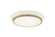 Jaxx White + Aged Gold Brass Ceiling Mount (3605|M11202WHAG)