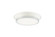 JAXX Ceiling Mount (3605|M11201WHCH)