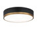 Trydor Flush Mounts (3605|M14303BKAG)