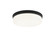 Circian Flush Mounts (3605|M10902MB)