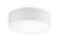 SNARE Flush Mounts (3605|M12702WH)