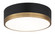 Trydor Flush Mounts (3605|M14302BKAG)