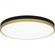 Weldin Flush Mount (26|WLN1620MBKG)