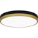 Weldin Flush Mount (26|WLN1615MBKG)