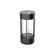 Suara 10-in Black LED Exterior Portable Lamp (461|EL17610-BK)